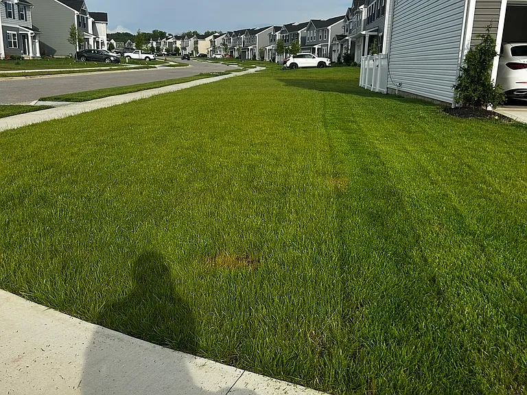 1033 Sandstone Ave — Photo 2