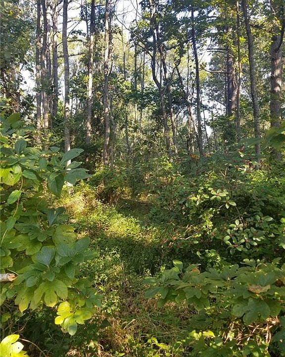 2nd image of Weybridge Dr