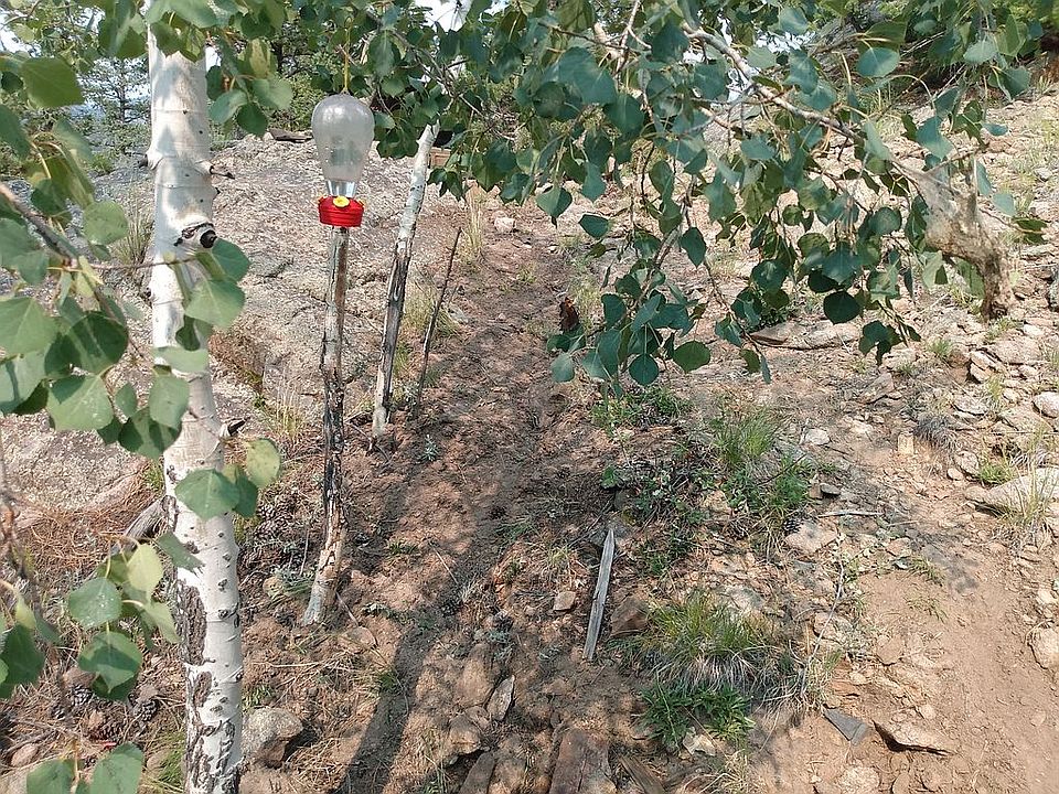 1st image of 736 Alta Mira Dr