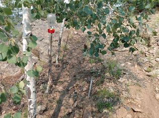 736 Alta Mira Dr, Westcliffe, CO 81252