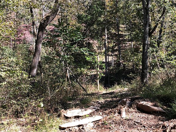 5th image of 136 Ferguson Ln
