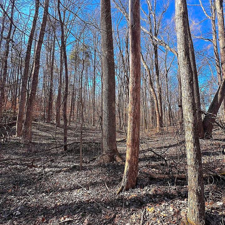 1st image of 53.44 Sparks Rd