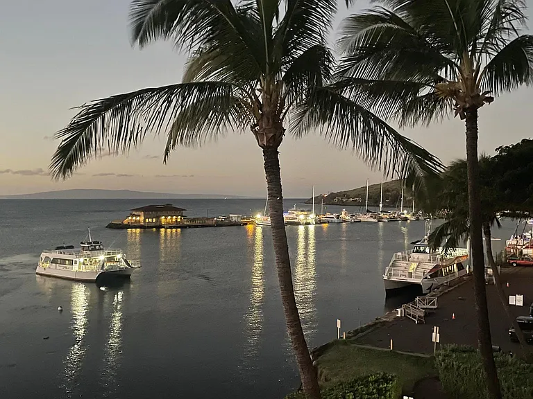 Harbor nights from lanai.