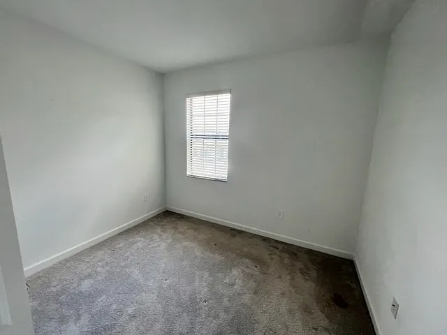 14164 Pine Lodge Ln — Photo 22