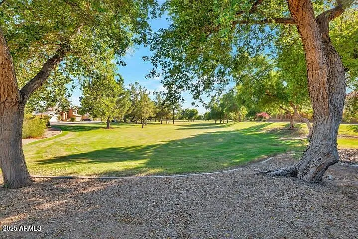 3 bed, 2.0 bath, 1539 sqft, $2,300 — Photo 4