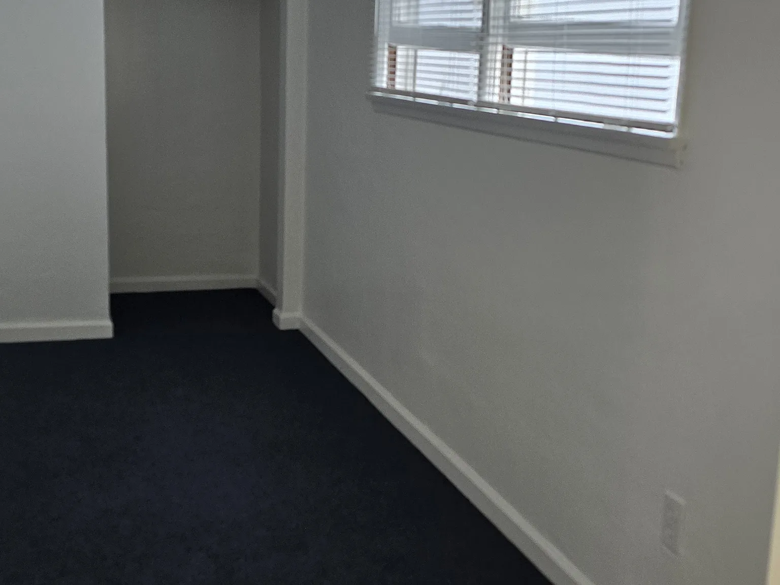 1 bed, 475 sqft, $2,250 — Photo 3