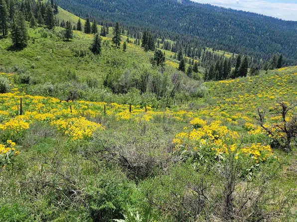 2488 Lappin Ln, Council, ID 83612