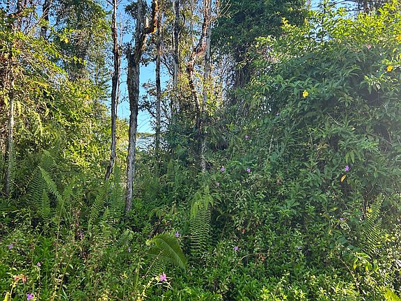 2nd image of Kahoolawe Rd