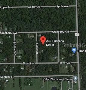 2335 Banana St #5, Bunnell, FL, 32110