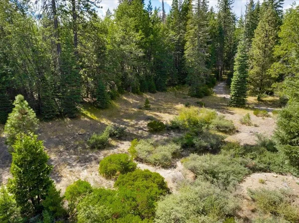 1-A-15 Mount Shasta Dr, McCloud, CA 96057