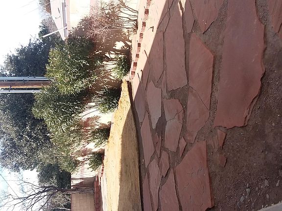 Backyard.