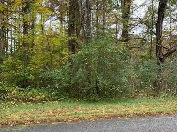 Tbd Swains Mill Road, Harrellsville, NC 27942