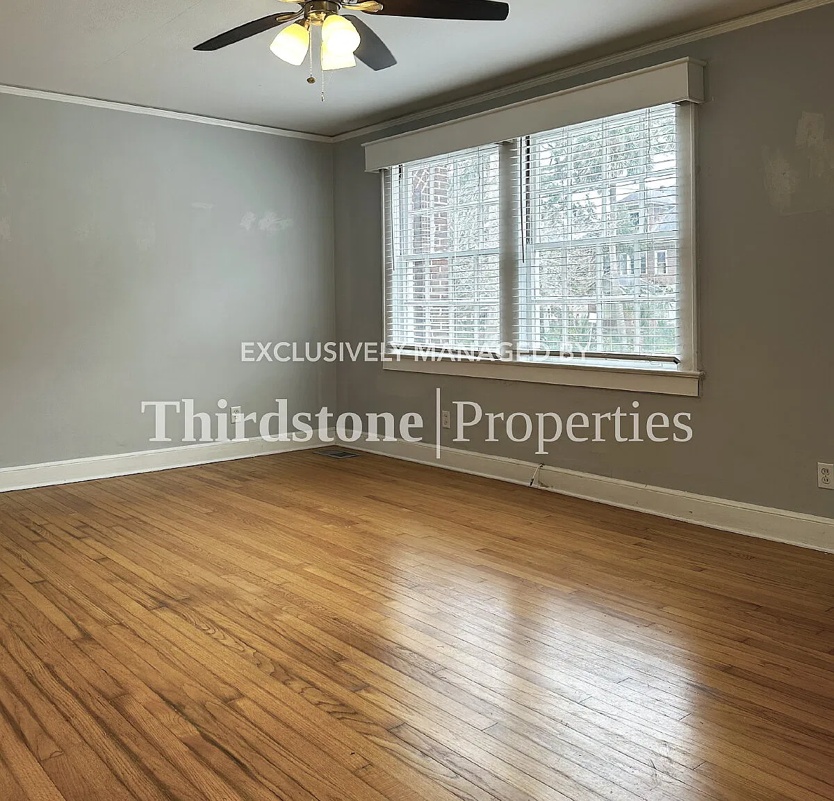 2781 Riverside Ave, Jacksonville, FL 32205 — Photo 4