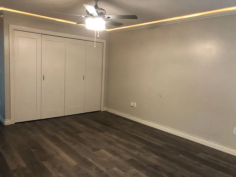 Master closet and cove-molding lighting.