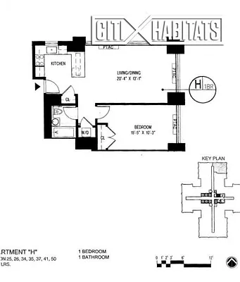 Rented by Citi Habitats | media 16