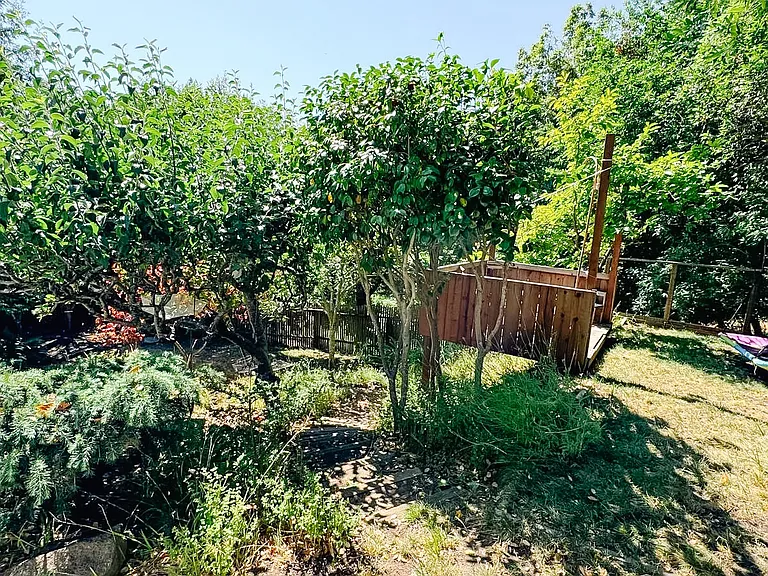 193 Molino Ave — Photo 10
