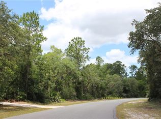 LOT 20 Poinciana St, Eustis, FL 32736