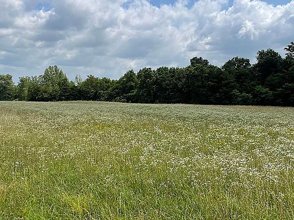 4th image of 74 County Road 8501