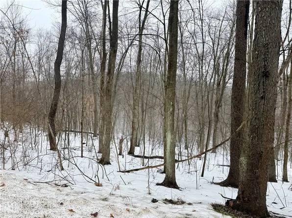 0 Cadogan Slate Lick Rd, Kittanning, PA 16201