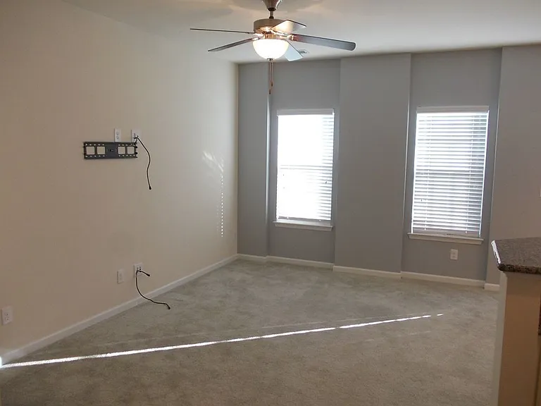 7411 Red Mulberry Way #1076D — Photo 4