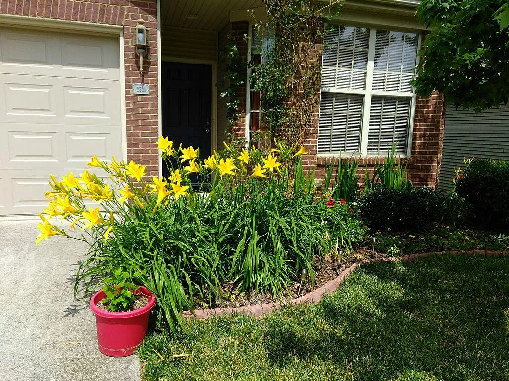 3 bed, 1300 sqft, $2,100 — Photo 2