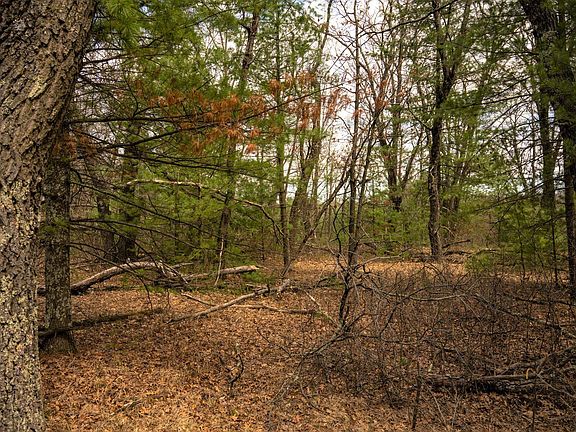 3rd image of LOT 188 18th Dr