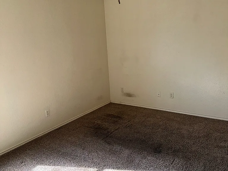 3303 Hereford Ln — Photo 9