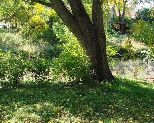view of backyard