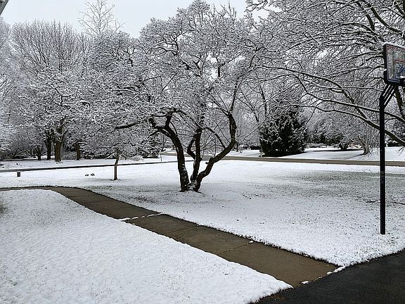 4th image of 1606 Sherwood Dr