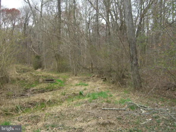 Bonnie Ln, Waldorf, MD 20601