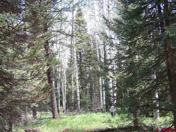 550 Snowshoe Lane, Cimarron, CO 81220