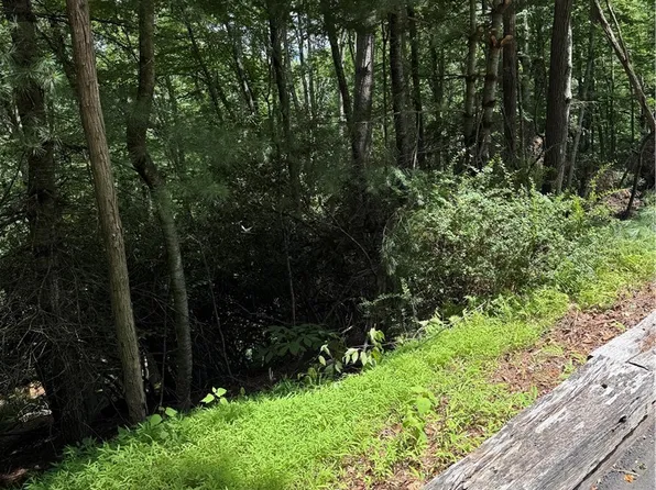 TBD Deerwood Road #58, Piney Creek, NC 28675