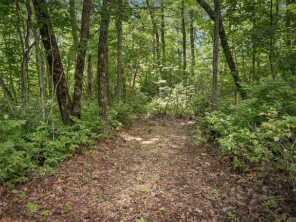 3rd image of Lot 42 Panthertown Drive