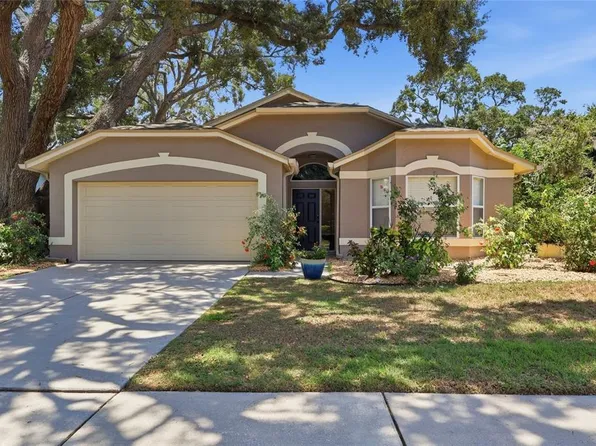 5724 Erhardt Dr, Riverview, FL 33578
