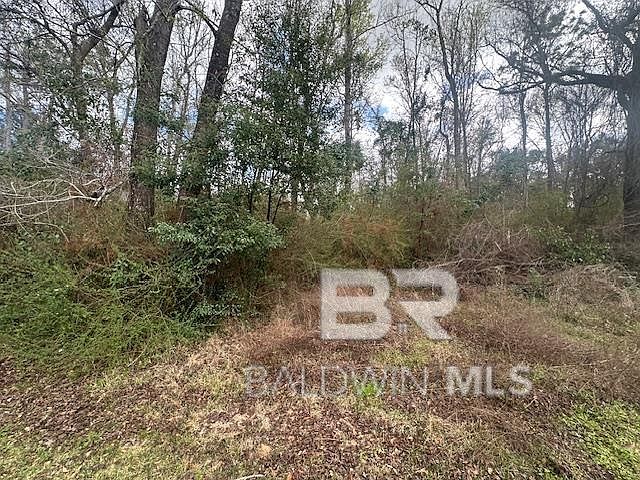 2nd image of 0 Jessie Rd