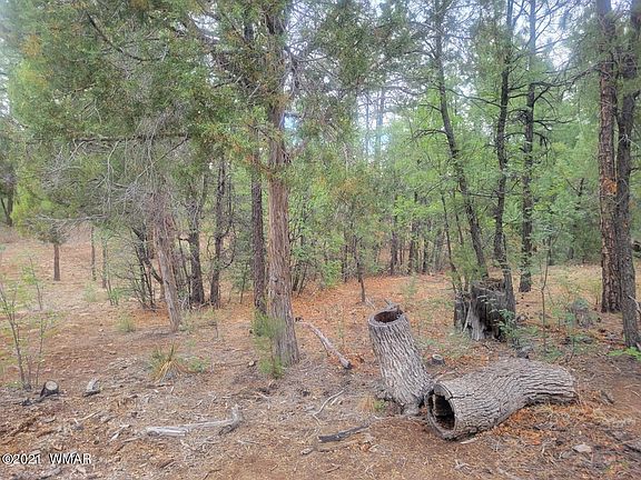 3rd image of 520 W Aspen Trl