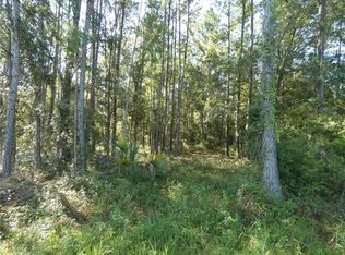 0 SE Highway 19, Chiefland, FL 32626