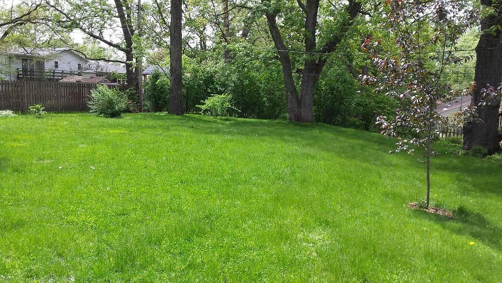 Back Yard - 6557 31st St N