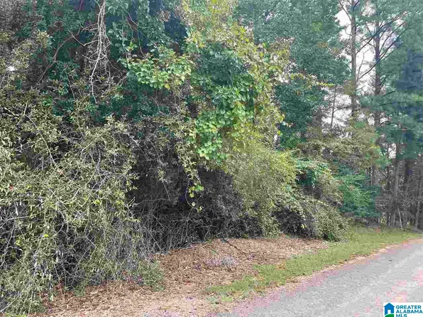 0 Ransome Dr #0, Oneonta, AL 35121