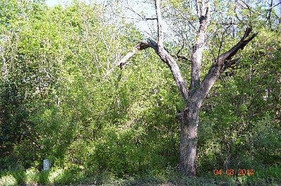 2nd image of 1012 Misty Acres Dr