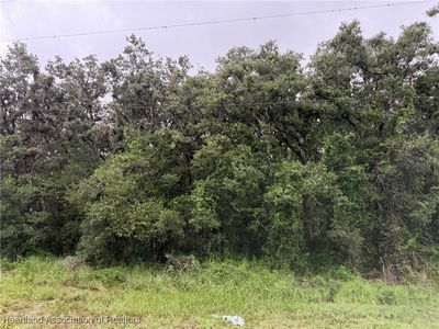1776 N Berkley Rd, Avon Park, FL, 33825