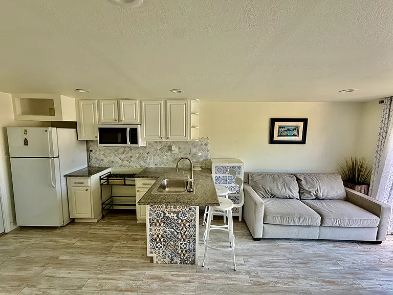 1st Floor In-law unit