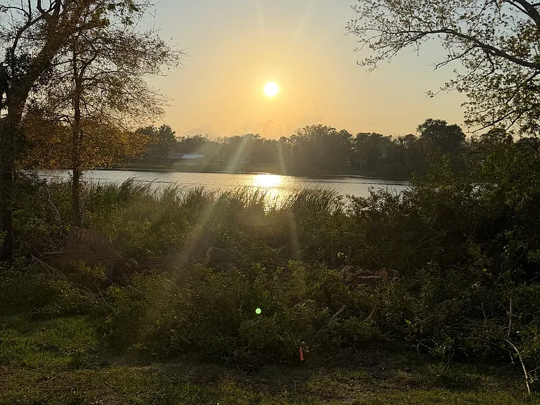 4458 Banjo Lake Rd — Photo 19