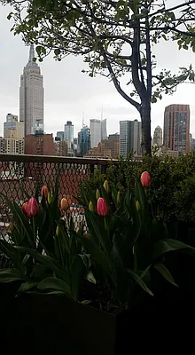 Sold by Citi Habitats | media 18