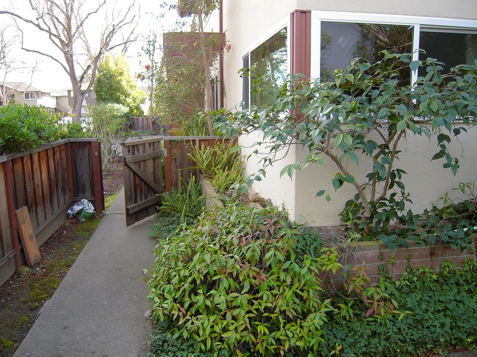 2162 Ash St Palo Alto, CA Zillow Apartments for Rent in Palo Alto