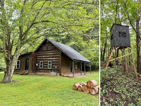 862 Higby Run, Gandeeville, WV 25243