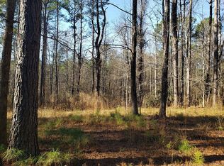 0 Orchard Rd, Pine Mountain Valley, GA 31823