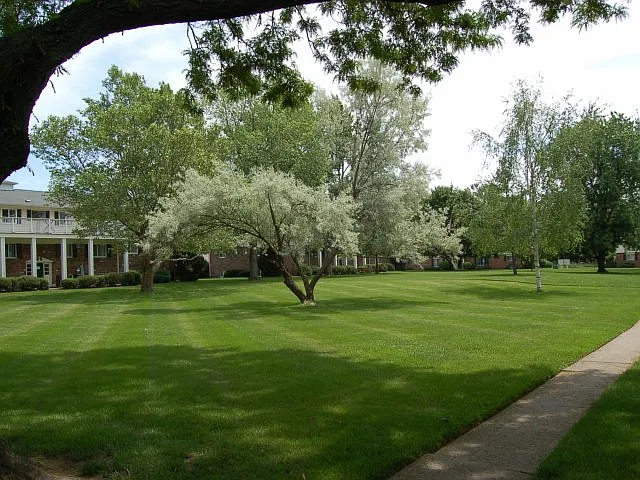 Grounds