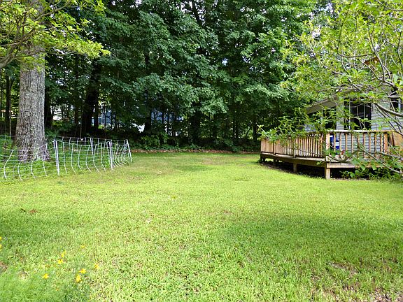 Level back yard