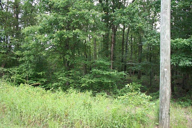 2nd image of 00 Salem Church Road